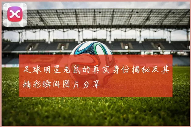足球明星老鼠的真实身份揭秘及其精彩瞬间图片分享