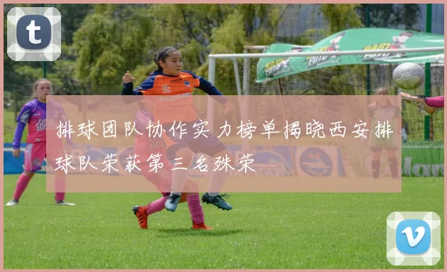 排球团队协作实力榜单揭晓西安排球队荣获第三名殊荣