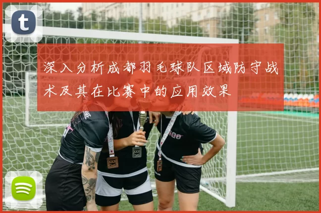 深入分析成都羽毛球队区域防守战术及其在比赛中的应用效果