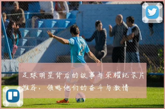 足球明星背后的故事与荣耀纪录片推荐，领略他们的奋斗与激情