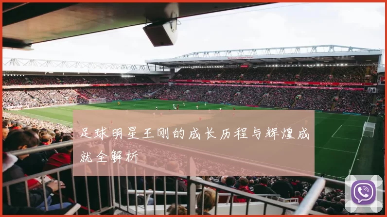 足球明星王刚的成长历程与辉煌成就全解析