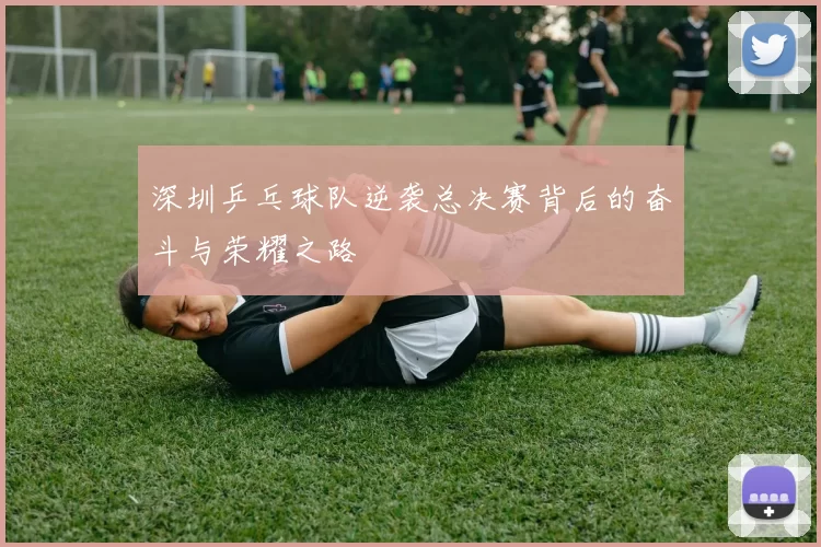 深圳乒乓球队逆袭总决赛背后的奋斗与荣耀之路
