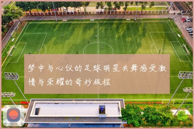 梦中与心仪的足球明星共舞感受激情与荣耀的奇妙旅程