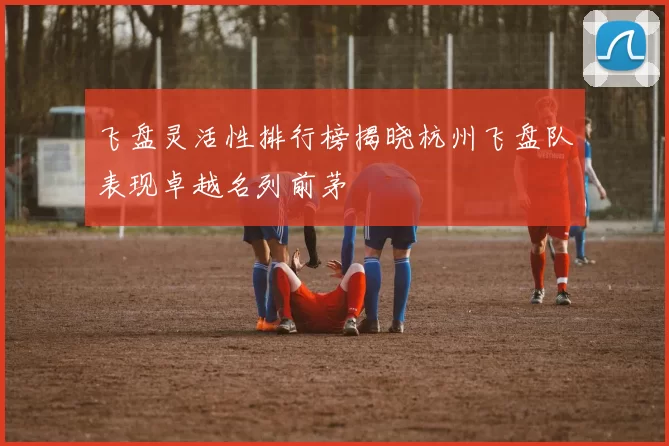 飞盘灵活性排行榜揭晓杭州飞盘队表现卓越名列前茅