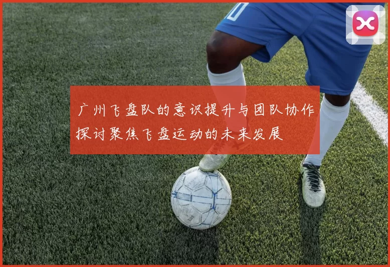 广州飞盘队的意识提升与团队协作探讨聚焦飞盘运动的未来发展
