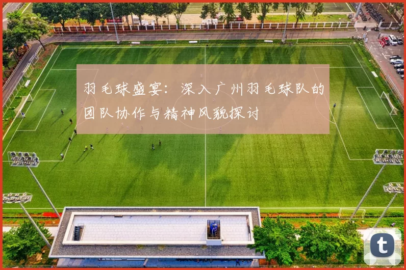 羽毛球盛宴：深入广州羽毛球队的团队协作与精神风貌探讨