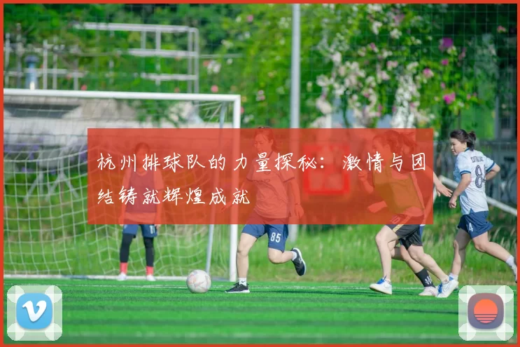 杭州排球队的力量探秘：激情与团结铸就辉煌成就