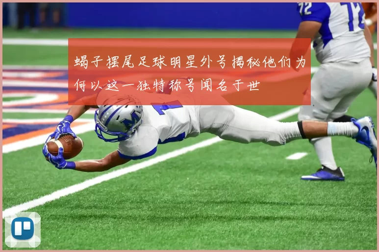 蝎子摆尾足球明星外号揭秘他们为何以这一独特称号闻名于世