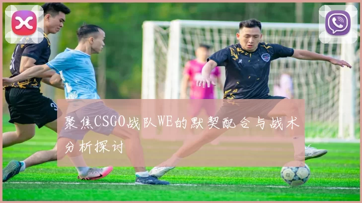 聚焦CSGO战队WE的默契配合与战术分析探讨