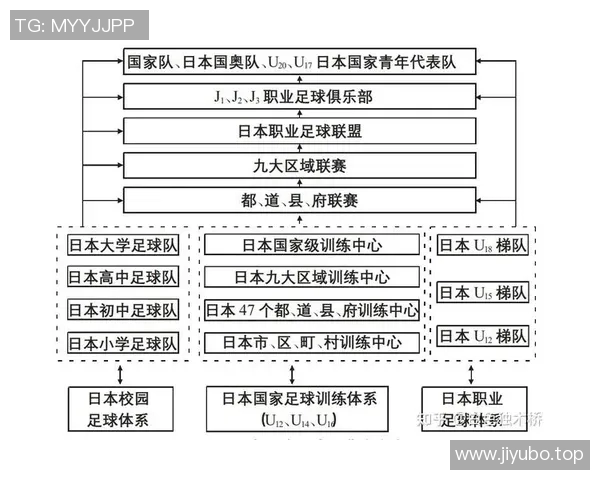 足球青训体系与人才培养模式的优化路径