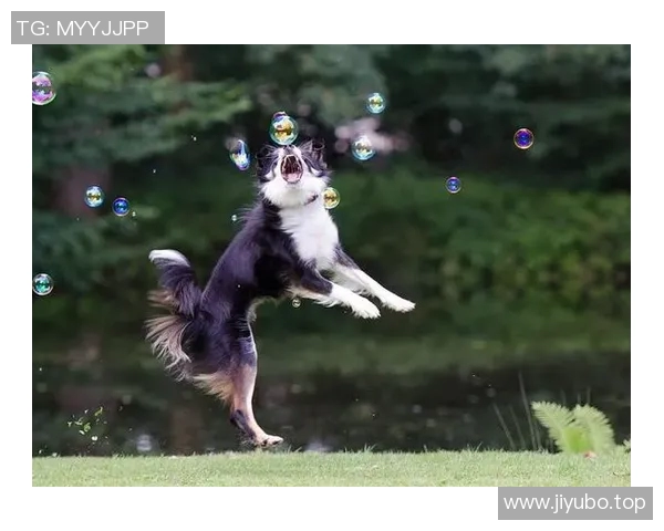 吴伟独家：分享飞盘心得